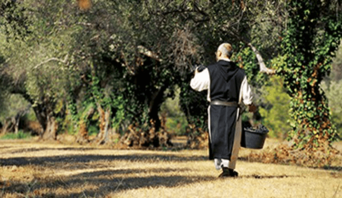 A monk walking in an orchard
